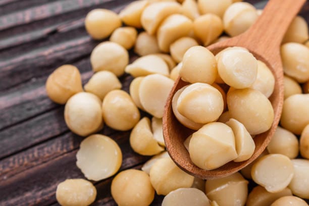 Macadamia Kernel