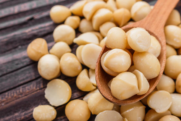 Macadamia Kernel